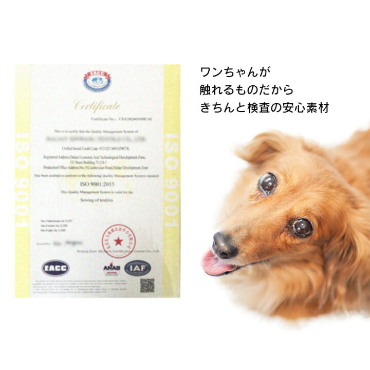 楽天市場 愛犬の足 腰を守る ペット ステップ スロープ 階段 ペットステップ ドッグステップ 犬用 階段 犬 スロープステップ 犬用ステップ スロープ ペット用 階段 ペットステップ ペットスロープ 踏台 室内犬 ペット用品 ブラウン ベージュ グレー D Pet館