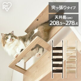 【店内ほぼP3倍＆最大3,000円オフ先着クーポン配布！25日迄】 キャットタワー キャットウォーク キャットステップ アイリスオーヤマ 猫 ステップ付 クリアシェルフ 突っ張り 壁面 おしゃれ インテリア 省スペース 透明 CATS-68【AR対応】