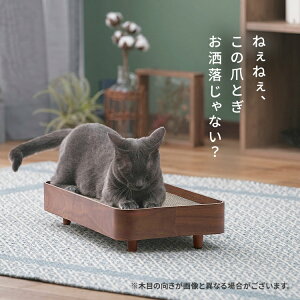 yő400~N[|IɂfCzL ܂Ƃ _{[ ACXI[} vCEbh ܂ƂP[X PW-TC50 ܂Ƃ L ˂ lR ܂Ƃ ߂Ƃ xbh i{[ _{[