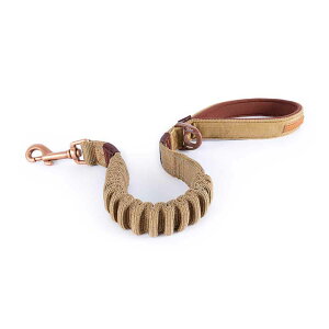 EZYDOG [VbN 64cm [h p @\ v g₷ ₳ y  ֗  fj R[fC C[W[hbO