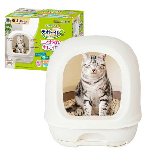 �y�ő�400�~�N�[�|���I�����ɂ��f�C�z���j�`���[�� �L�g�C���Z�b�g �f�I�g�C�� �t�[�h�t���{�̃Z�b�g �i�`�������A�C�{���[ �L �g�C�� ���j�E�`���[���y�b�g ���L �R�� �q�� �Z�b�g �˂� 