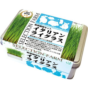 yő400~N[|I炵ɃvXz  ZNVt@[ q͔|Zbg H q ͔| q  `V[   bg  C[X^[ `V[ C