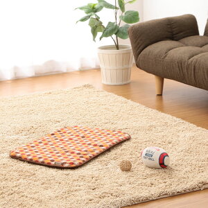  L ybg uPbg }bg xbh ~  킢  ObY ObY ybgxbh  Lp p S ACXI[} h