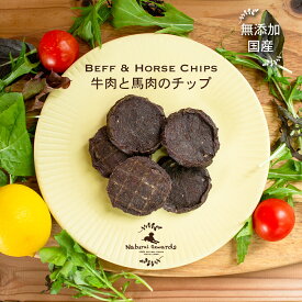無添加　無着色 国産　犬　おやつ お試し　ジャーキー牛肉と馬肉のチップお得な　ボリュームパックペット　まとめ買い【Natural Rewards】ナチュラル・リワード