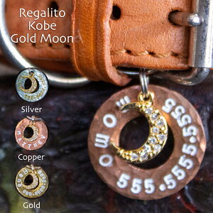  L ybg qD D O  l[^O @@o^C@v[gʂɍ ւn[lXɎt S[hE[@T[N^Cvih[ic^j REGALITO KOBE I