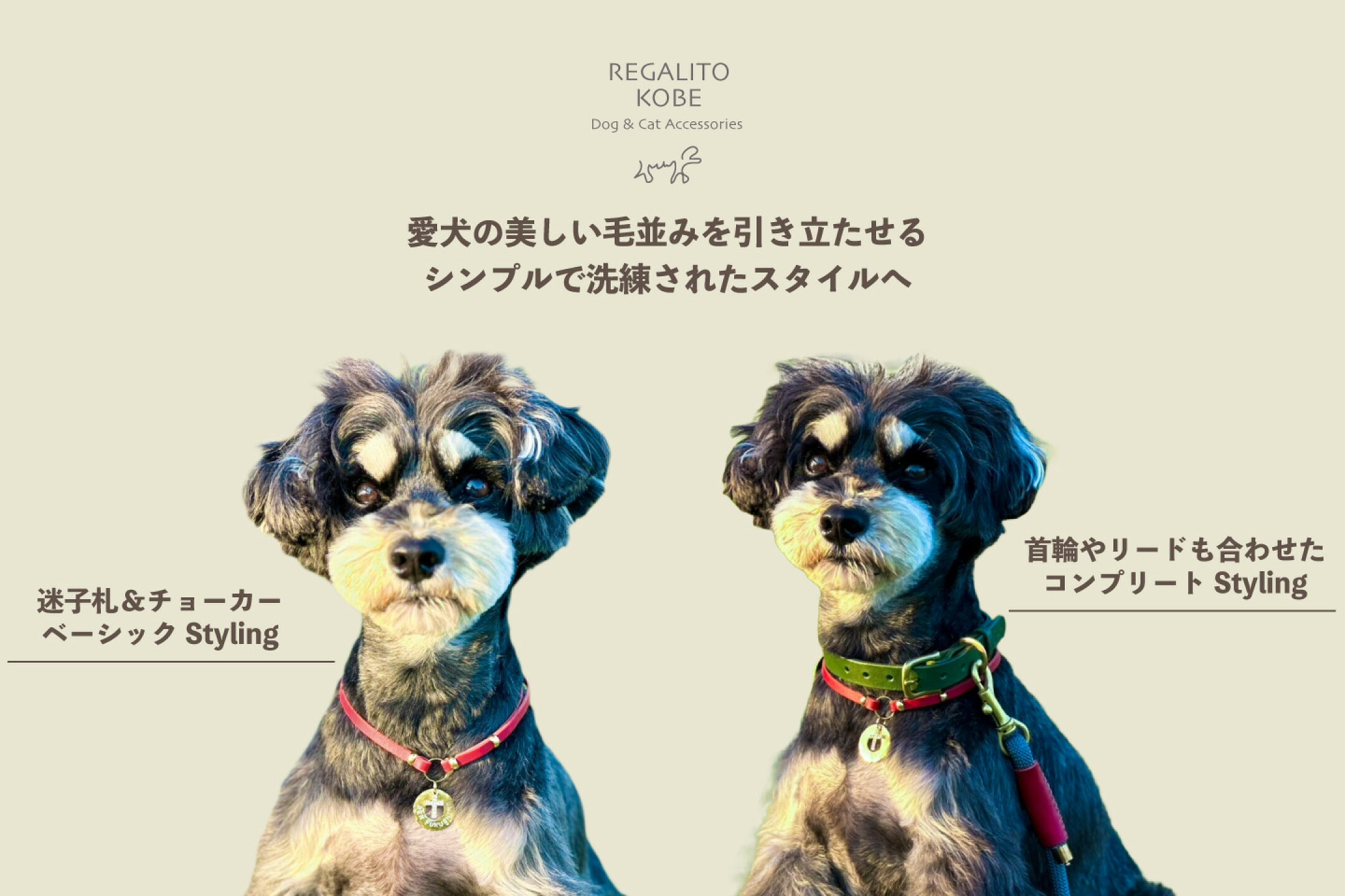 愛犬の美しい毛並みを引き立たせるシンプルで洗練されたスタイル
