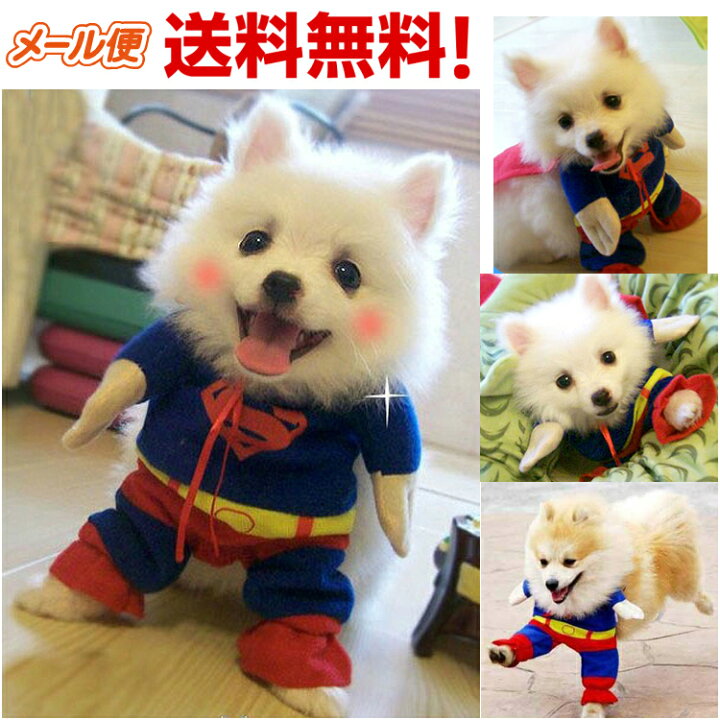 楽天市場 スーパーマン 二足歩行 バッドマン スパイダーマン ハロウィン コスプレ 仮装 チワワ ダックス トイプードル 猫 春 夏 秋 冬ドッグウェア 犬服 犬 服 メール便 送料無料 Dog Luck