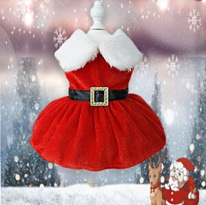 NX}X T^N[X xg XJ[g t@[ T^ RXv ~ jbg {A N t@[ ӂӂ nEB  t[X L ` _bNX gCv[h hbOEFA  