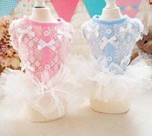 [X tt s[X pjG ` _bNX gCv[h nEB  n[g L XJ[gyhbOEFAzyzy@z