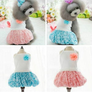 r[Yttt s[X pjG ` _bNX gCv[h nEB  n[g L XJ[g hbOEFA    