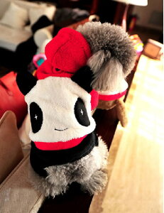  p_ NX}X J[ RXv ~ jbg nEB  t[X ` _bNX gCv[h L hbOEFA    [։\