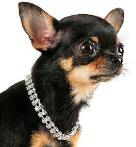 ZuYiȋPƂ̑fGȏok[։\l