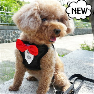 [ցyz{/n[lX[hnEB/z/`/_bNX/gCv[hy[։\z