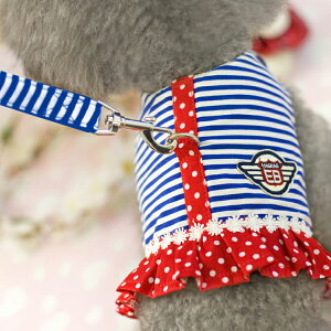 [ցyz{[_[/XgCv/n[lX[hnEB/z/`/_bNX/gCv[hy[։\z