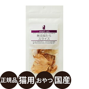 yIōő100%|CgobNIz [ Y Ki ] Aj}Ct X}[gLbg Y XCX 12g [ L Lp Y Y    ς r^~ SL ]