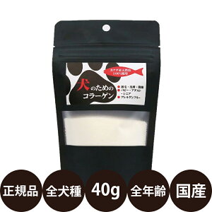 yIōő100%|CgobNIz [ Ki ] ̂߂̃R[Q 40g [ Biybgh QIX  Tvg Y Ji_ ӂ肩 gbsO ^ ^ ^ S q  