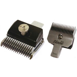 yIōő100%|CgobNIz Bloom oJp֐n 3mm