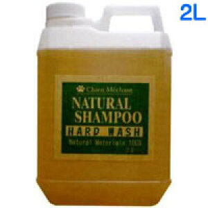 yIōő100%|CgobNIz L^K VV R̃Vv[ n[hEHbV 2L