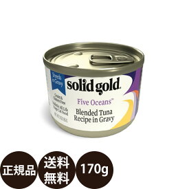 ＼ ポイント10倍 ／ KMT ソリッドゴールド ブレンドツナ缶 170g
