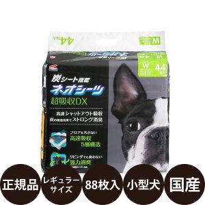 yIōő100%|CgobNIz [ Ki ] R[`[ lIV[c{J[{DXCh 44