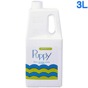 yIōő100%|CgobNIz j`hE ~Nps[Vv[ 3L Ɩp