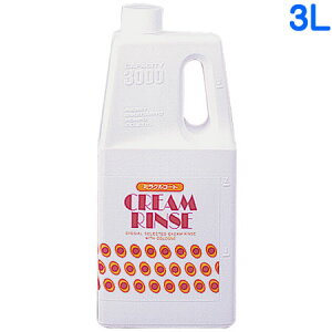 yIōő100%|CgobNIz j`hE ~NX 3L Ɩp