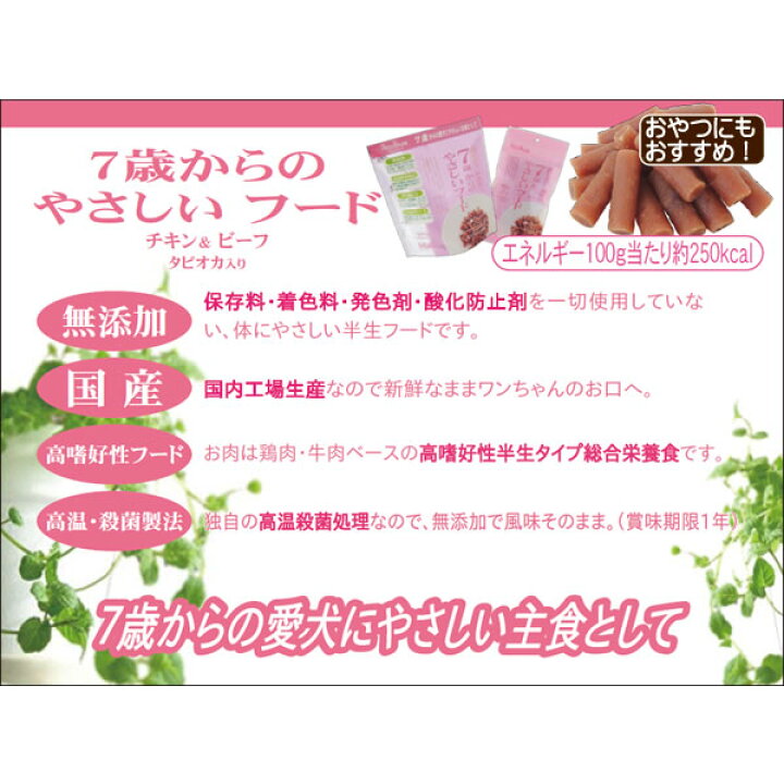 休み やさしいフード チキン ビーフ 600g 100g 6 ペッツルート セミモイスト 半生タイプ ドッグフード 送料無料 Shipsctc Org