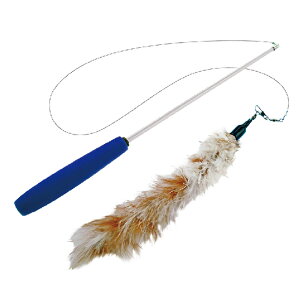 yIōő100%|CgobNIz [ Ki ] vbc ANIMAL EGG for CAT LeB[eB[U[h [[ [ PLATZ L  ˂炵 Lbgg[C [[ \tgObv ]