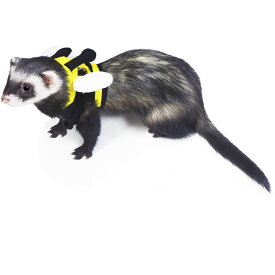[ 正規品 メール便送料無料 ] レインボー ferret ランランハーネスウェア みつばち S