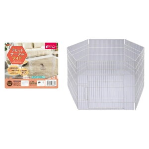 yIōő100%|CgobNIz [ Ki ] r rbgT[NCh [ GEX WFbNX ]