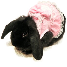 楽天市場 うさぎ用 服の通販