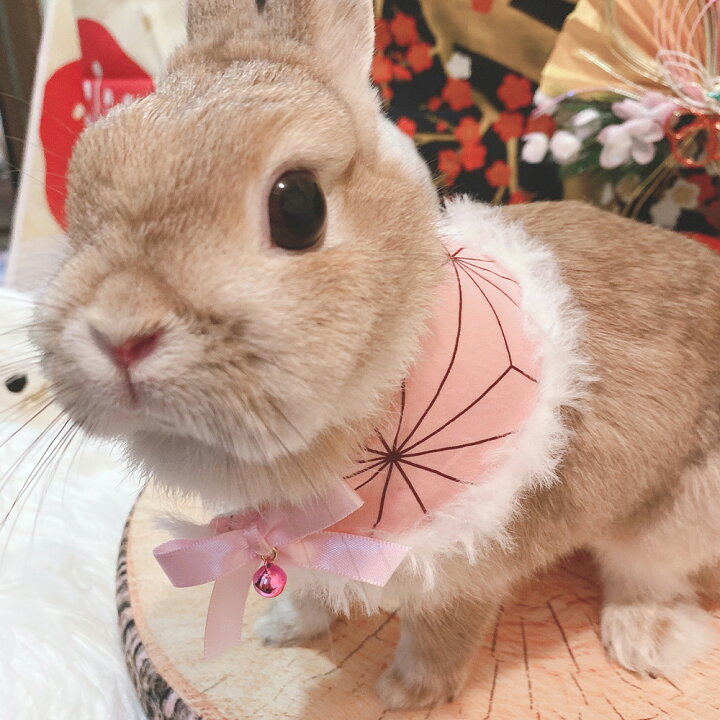 楽天市場】【完売】GraceLily うさぎ☆和柄リボンケープ : 豊富な品 