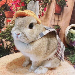 うさぎ リボン カチューシャの人気商品 通販 価格比較 価格 Com