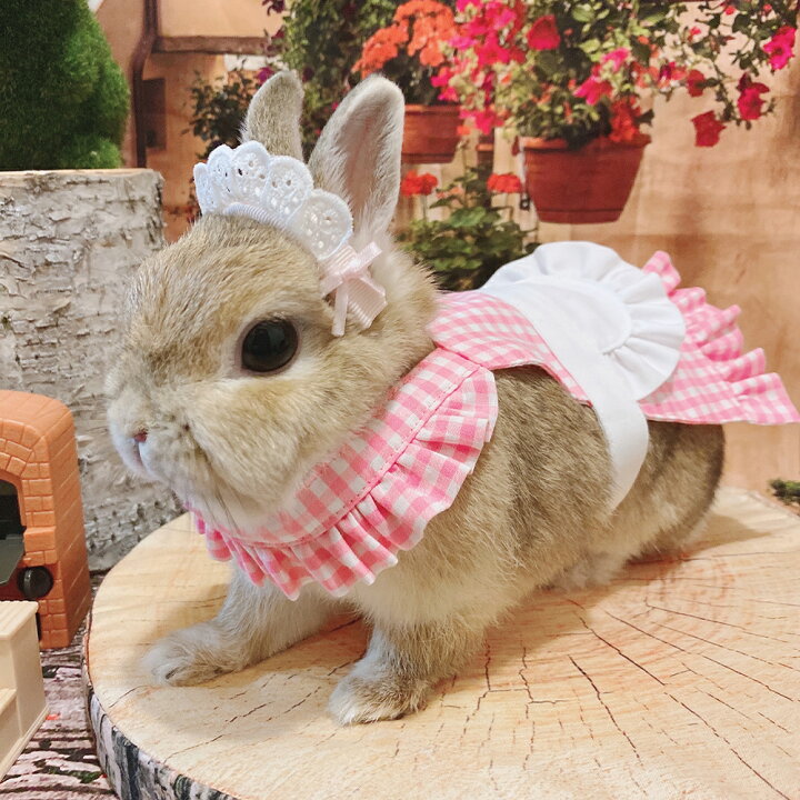 楽天市場 メーカー直送 送料無料 Gracelily フリルエプロン グレースリリー うさぎの服 うさぎ 服 ウサギ 兎 ドッグフード 犬用品の店ペネット 楽天市場 メーカー直送 送料無料 Gracelily フリルエプロン グレースリリー うさぎの服 うさぎ 服 ウサギ 兎 ドッグフード 犬用品の店ペネット