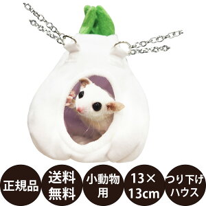 yIōő100%|CgobNIz [ Ki  ] C{[ Jû [ K fO[ nbN t  艺nEX Rbgn {An P[Wp ]