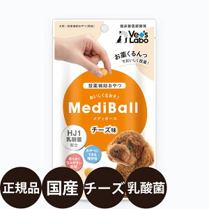 yIōő100%|CgobNIz [ Ki ] fB{[ p `[Y 15 (  20g ) [ WpybgR~jP[VY xbc{ bt   ⏕  Y ]