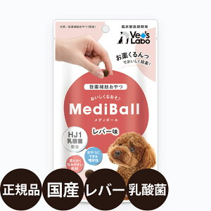 yIōő100%|CgobNIz [ Ki ] fB{[ p o[ 15 (  20g ) [ WpybgR~jP[VY xbc{ bt   ⏕  Y ]