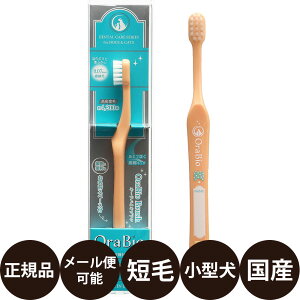 yIōő100%|CgobNIz [ Ki [ ] I[oCIuV Z [ oC BYRON  uV Ԃ炵 ݂͂ ݂  L f^PA I[PA Y S 