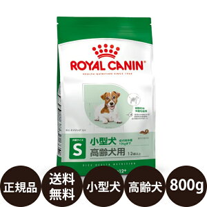 yIōő100%|CgobNIz yܖ:2026/6/4z[ Ki  ] CJi ~jGCWO12{ 800g [ ROYAL CANIN CȂ SHN TCY wX j[gV  p 