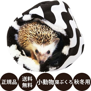 yIōő100%|CgobNIz [ Ki  ] C{[ ݂Ȃ̃pNƁIQԂ [ nlY~ bg QԂ xbh ~p {An g ӂ  ۉ 