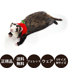 [ 正規品 送料無料 ] レインボー ferret ランランハーネスウェア りんご ( S M ) [ フェレット ハーネスウェア フェレット用ハーネスウェア おでかけ ハーネス りんご リンゴ かわいい ]