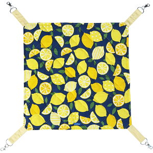 yIōő100%|CgobNIz [ Ki  ] C{[ L̃nbN  [ L nbN tėp I[V[Y Rbgn LeBO LpnbN  