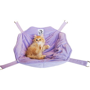 yIōő100%|CgobNIz [ Ki  ] C{[ ӂɂ񂱂̃oXPbg ( N[ O[ p[v ) [ L nbN I[V[Y oXPbg^ 蔫^ 