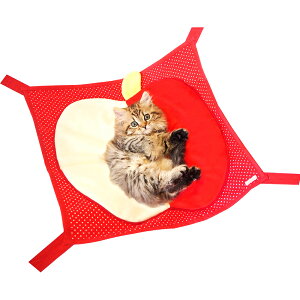 yIōő100%|CgobNIz [ Ki  ] C{[ L̃nbN t[c (  IW ) [ L nbN I[V[Y Rbgn LpnbN  