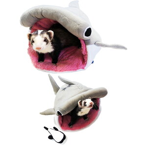 yIōő100%|CgobNIz [ Ki  ] C{[ n}[wbhV[N̐QԂ RoUt [ tFbg Q QԂ tFbgpQ tFbg̐Q 