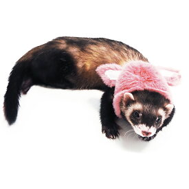 [ 正規品 メール便送料無料 ] レインボー ferret ランランハーネスウェア もこもこうさぎ Sサイズ Mサイズ [ フェレット 服 ウェア 2024 ]