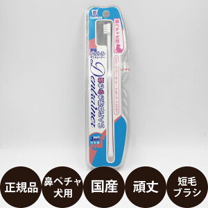 yIōő100%|CgobNIz [ Ki ] Cgg fg[i[ @y`p 1{ [ g[X  uV Zу^Cv C f^PA ݂ Y t`uhbO