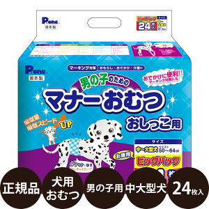 �y���I�ōő�100%�|�C���g�o�b�N�I�z [ ���K�i ] P.one �j�̎q�̂��߂̃}�i�[���ނ� ���������p ���`��^�� �����p �r�b�O�p�b�N 24���� [ ���q�� �� �I���c ���ł��� �}�[�L���O �����炵 ��