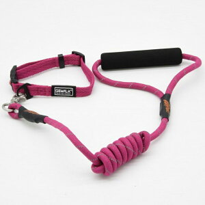 yIōő100%|CgobNIz GEWALK J[YIulC`[V[Y LGE305 M bh sN O[ u[ ubN [ nuT WEH[N   [h Zbg v  ]