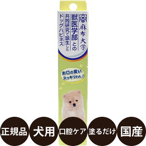 【抽選で最大100%ポイントバック!】 ソーシン ドッグハピネス はみがきジェル 20g